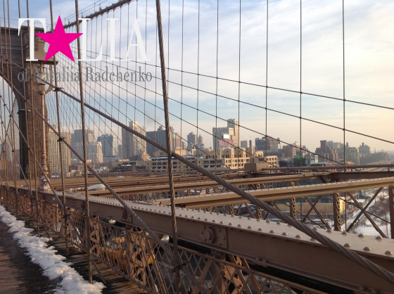 Вид с Бруклинского моста (Brooklyn Bridge)